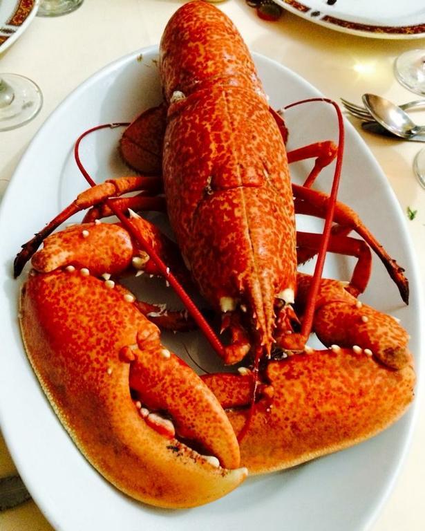 Hotel Cortijo Las Grullas ベナルップ＝カサス・ビエハス エクステリア 写真